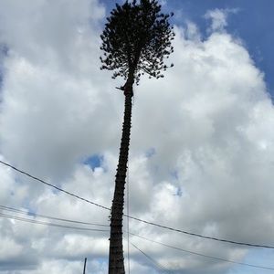 Meet your Posher, Bernadina